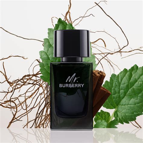 mr burberry toni|mr burberry eau de parfum.